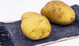 吃瓜群土豆姐,揭秘娱乐圈那些事儿