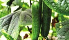 一教画室吃瓜,吃瓜群众眼中的艺术盛宴