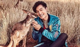 吃瓜的遇狼,一场惊心动魄的意外遭遇