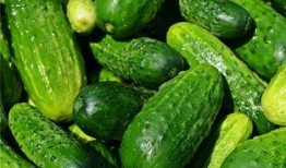 梦见很多瓜后来在吃瓜,瓜果满园，吃瓜解谜之旅