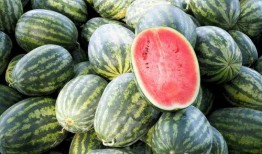 中国金楼吃瓜,吃瓜群众眼中的奢华与争议