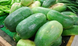 梦见吃白嚷瓜,揭秘吃白嚷瓜的神秘寓意