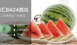 文章《吃瓜》,吃瓜群众的智慧与反思