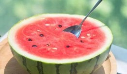 吃西瓜时看到瓜,西瓜从种子到果实的奇妙蜕变之旅