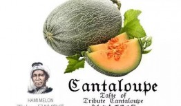 今日吃瓜推荐官,揭秘娱乐圈最新热点事件