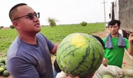 沉浸式吃瓜看烘培,跟随镜头一起“吃瓜”看烘焙艺术之旅