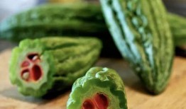 吃瓜李琪琪,揭秘娱乐圈的“瓜王”传奇