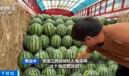 沉浸式吃瓜看烘培,跟随镜头一起“吃瓜”看烘焙艺术之旅