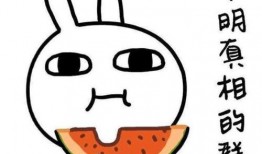 搜索故事吃瓜上头,揭秘网络搜索背后的故事