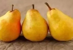 水果秋瓜怎么吃,这样吃最健康