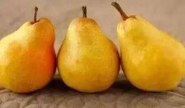 水果秋瓜怎么吃,这样吃最健康