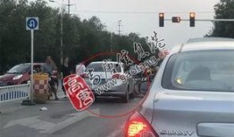 路口事故吃瓜狗,吃瓜狗的意外奇遇