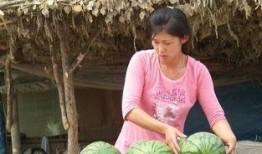 农村吃瓜女子,农村吃瓜女子的生活点滴