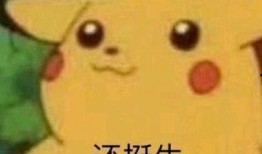 mc吃瓜图,一场虚拟世界的“瓜田”盛宴