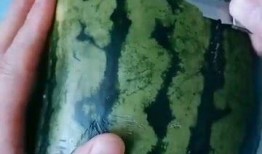 手工diy 吃瓜,手工DIY吃瓜乐趣多