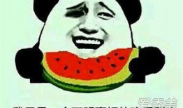 吃瓜群众和吃饼,揭秘现代生活的趣味观察