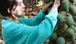 吃瓜的人太多了,揭秘吃瓜群众背后的社会现象