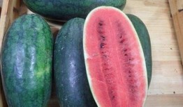 17吃瓜黑料,真相与争议背后的网络风云