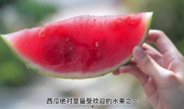 血糖高吃瓜白,吃瓜白，健康降糖新选择