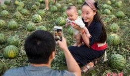 中午后吃瓜,揭秘中午后吃瓜的奇妙体验