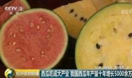 吃瓜群众变成卖瓜的了,我的瓜田传奇