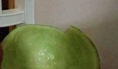 吃瓜搞笑照片图文