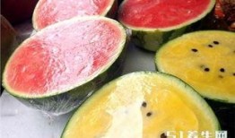 夏天的夜晚吃瓜吃桃子,桃子与西瓜的甜蜜邂逅
