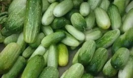 云南刺角瓜怎么吃,独特风味的多样化食用指南