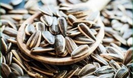 吃瓜应该吐几个瓜子,揭秘瓜子吐出数量的奥秘