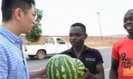 果然吃瓜不能随便,揭秘吃瓜群众的正确姿势