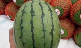 看人聊天吃瓜,揭秘聊天吃瓜背后的社交奥秘