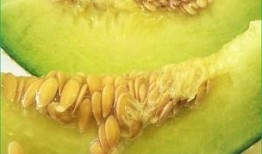 宝宝退烧可以吃哈密瓜吗,哈密瓜是适宜的水果选择吗？