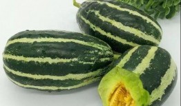 羊角尖瓜怎么吃,解锁美味新体验