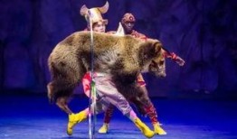 吃瓜狗熊,揭秘森林中的“网红”美食家