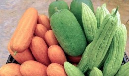 吃瓜怎么越吃越大