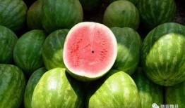 魏县吃瓜孩子,揭秘农村孩子的快乐生活