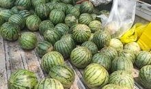 瓜哥吃的什么,探寻各地特色佳肴