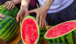 吃瓜民航大学,大学生们的青春记忆