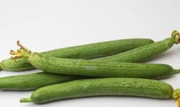 吃瓜系统元帝,网络热点的幕后推手