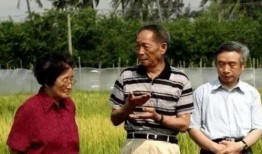 吃瓜同学和妈妈,吃瓜同学与妈妈的温馨日常