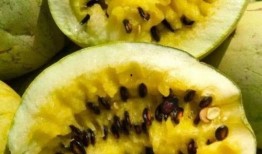 籽瓜吃啥,探索最佳搭配食材