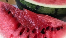 翰林院吃瓜爆料,宫廷秘闻背后的吃瓜故事