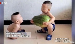 河北弟弟吃瓜事件视频,一场网络热议的瓜田奇遇