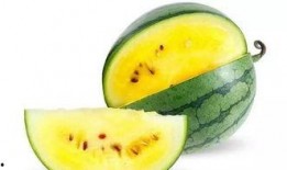 吃咸瓜好吗,揭秘吃咸瓜的好处与注意事项