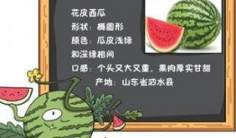 吃瓜歌每日诵读,品味生活百态，笑对人生无常