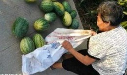 彩塘最新吃瓜视频,揭秘幕后真相，带你领略网络风云