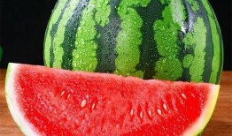 图片识别吃瓜,一场视觉与味蕾的双重盛宴