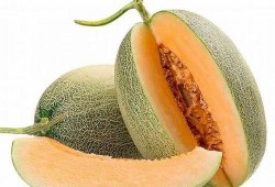 哈密瓜几点吃,把握黄金时刻，尽享美味与营养