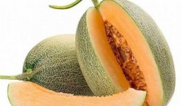 哈密瓜几点吃,把握黄金时刻，尽享美味与营养