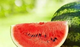 疯批吃瓜,揭秘娱乐圈的疯狂瓜田